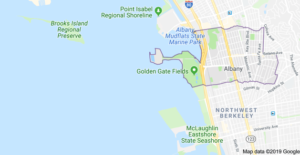 Screen Shot 2019-08-15 at 12.09.19 PM Albany Auto Glass