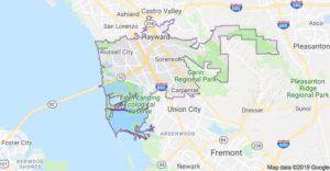 Screen Shot 2019-08-16 at 1.23.20 PM Hayward Auto Glass